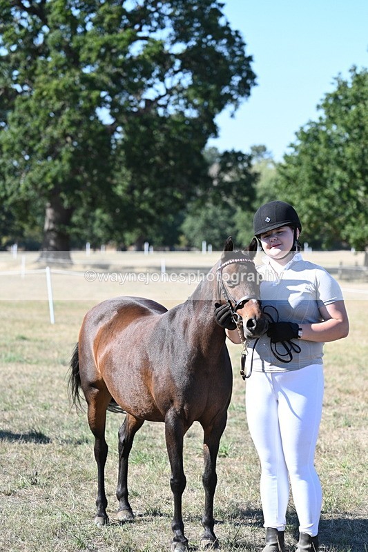 WJ7_2145 - Class 44 Child's Best Friend