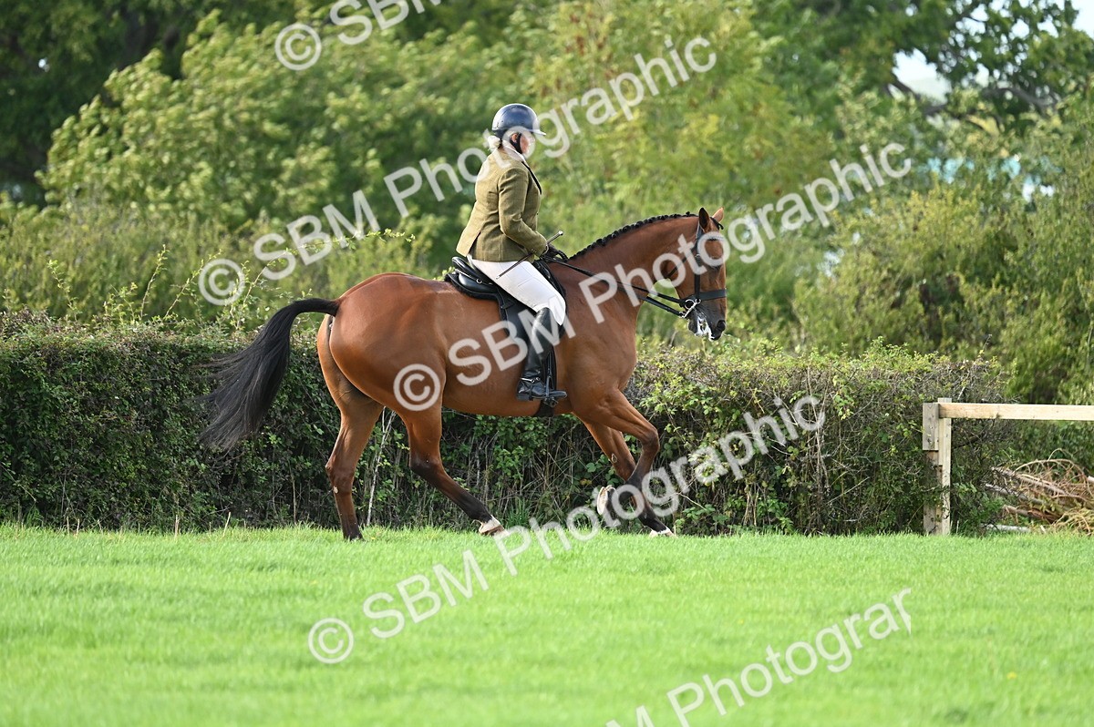 SBM_26419 - S6 - Novice & newcomer Ridden horse