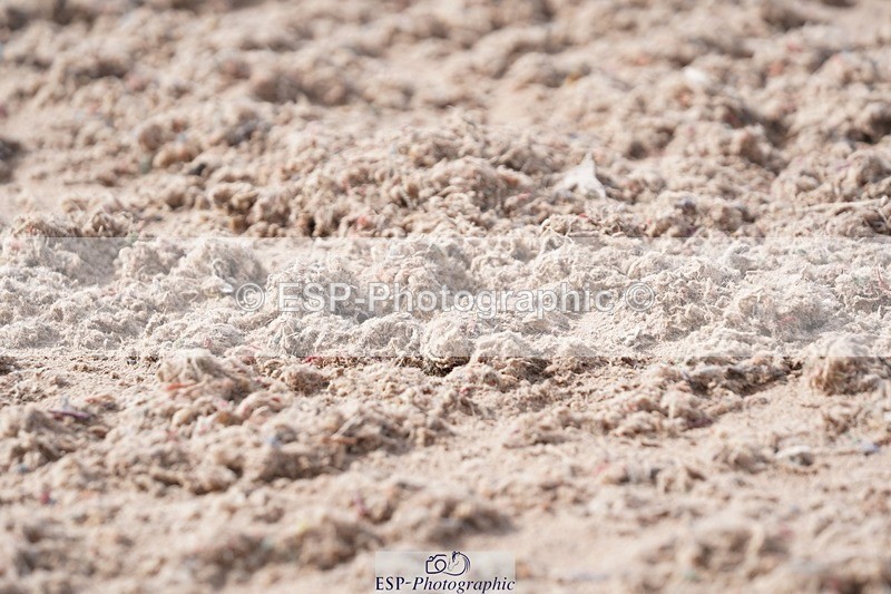 250322-110808-00214 - DR Elementary 1 Test