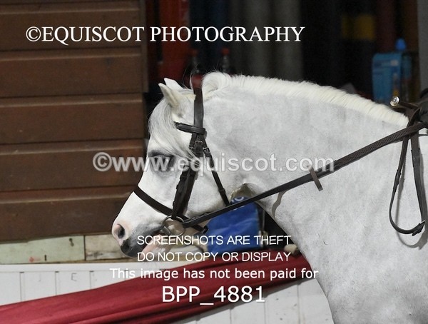 BPP_4881 - CLASS 2 30CM