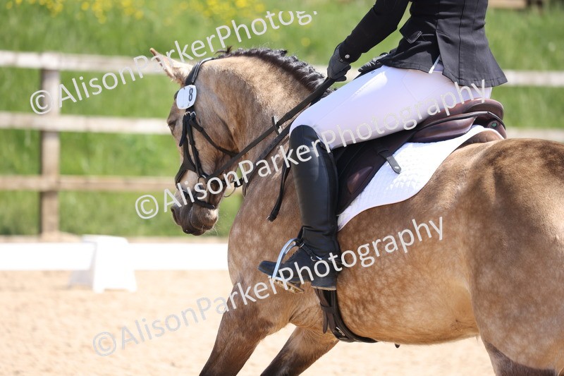 20250520-0790 - Class 5 - Novice 2