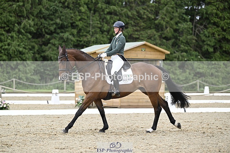 000101-212319-04286 - 412-WELLFIELDS_LINCOLN-Susie_Berry