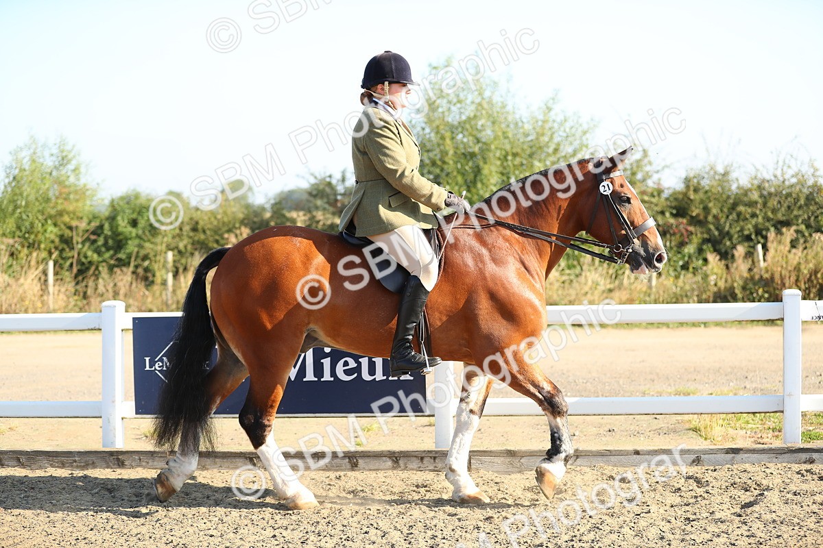 SBM_00374 - Class 41 Best Turned Out Ridden