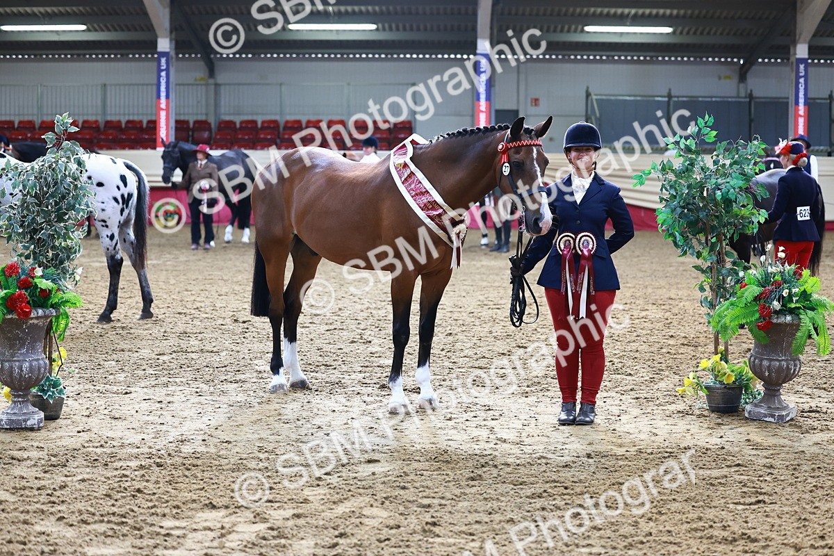 SBM_21926 - Class 901 - Supreme Final - IH  Diamond