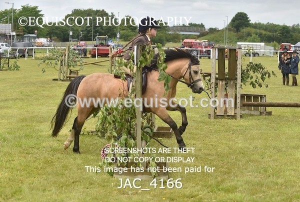 JAC_4166 - 30CM WORKING HUNTER