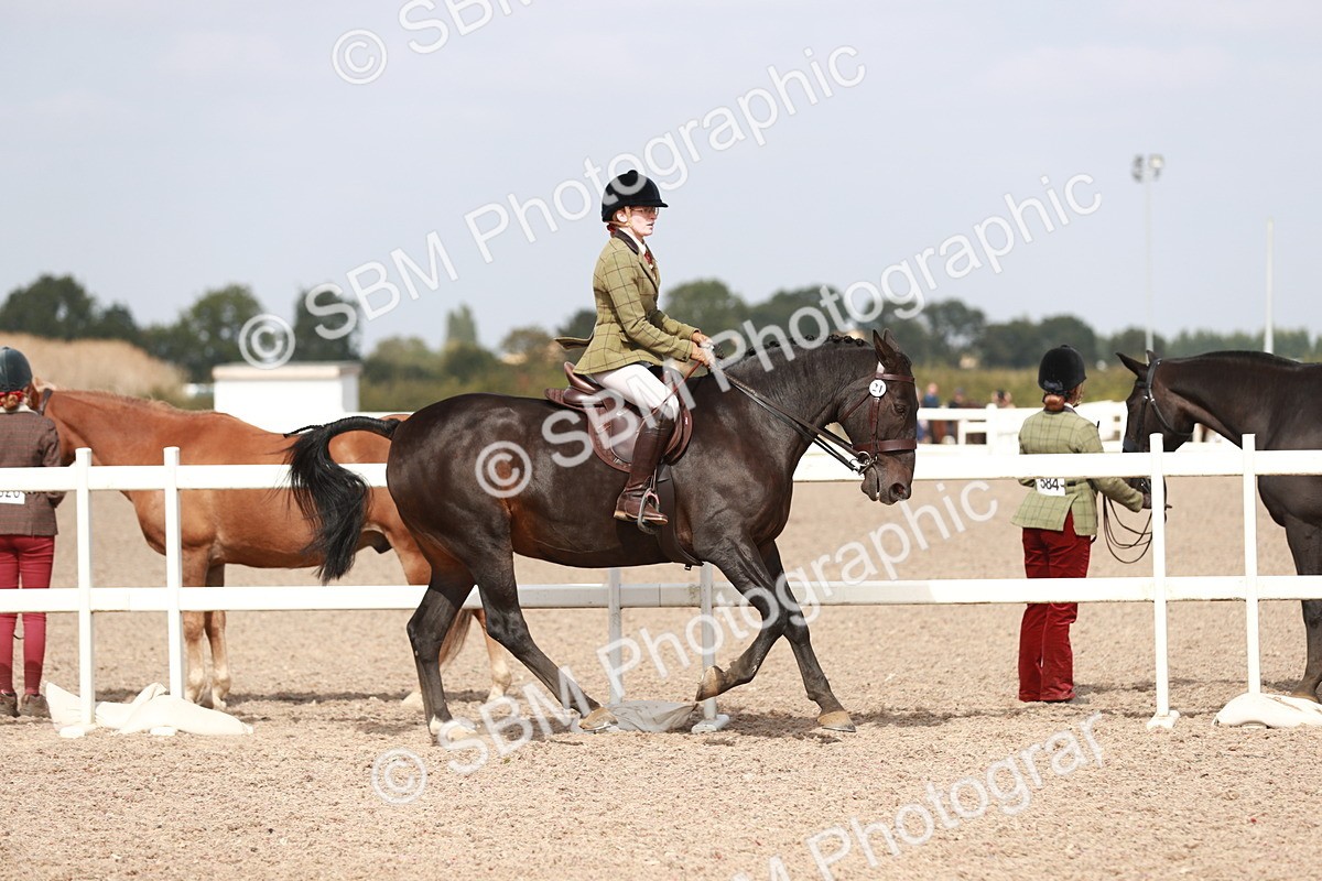 SBM_14837 - Class 212 Ridden Hunter - Small