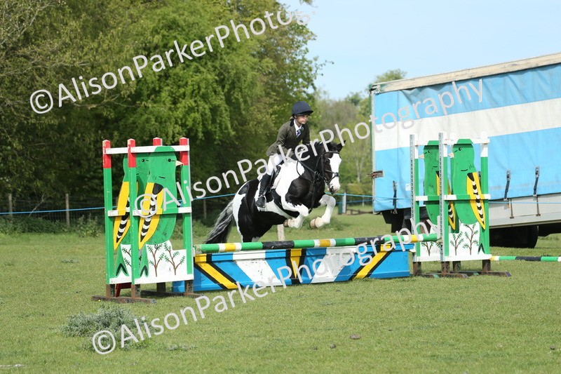 20260426-1516 - Class 14 - Novice 60cm