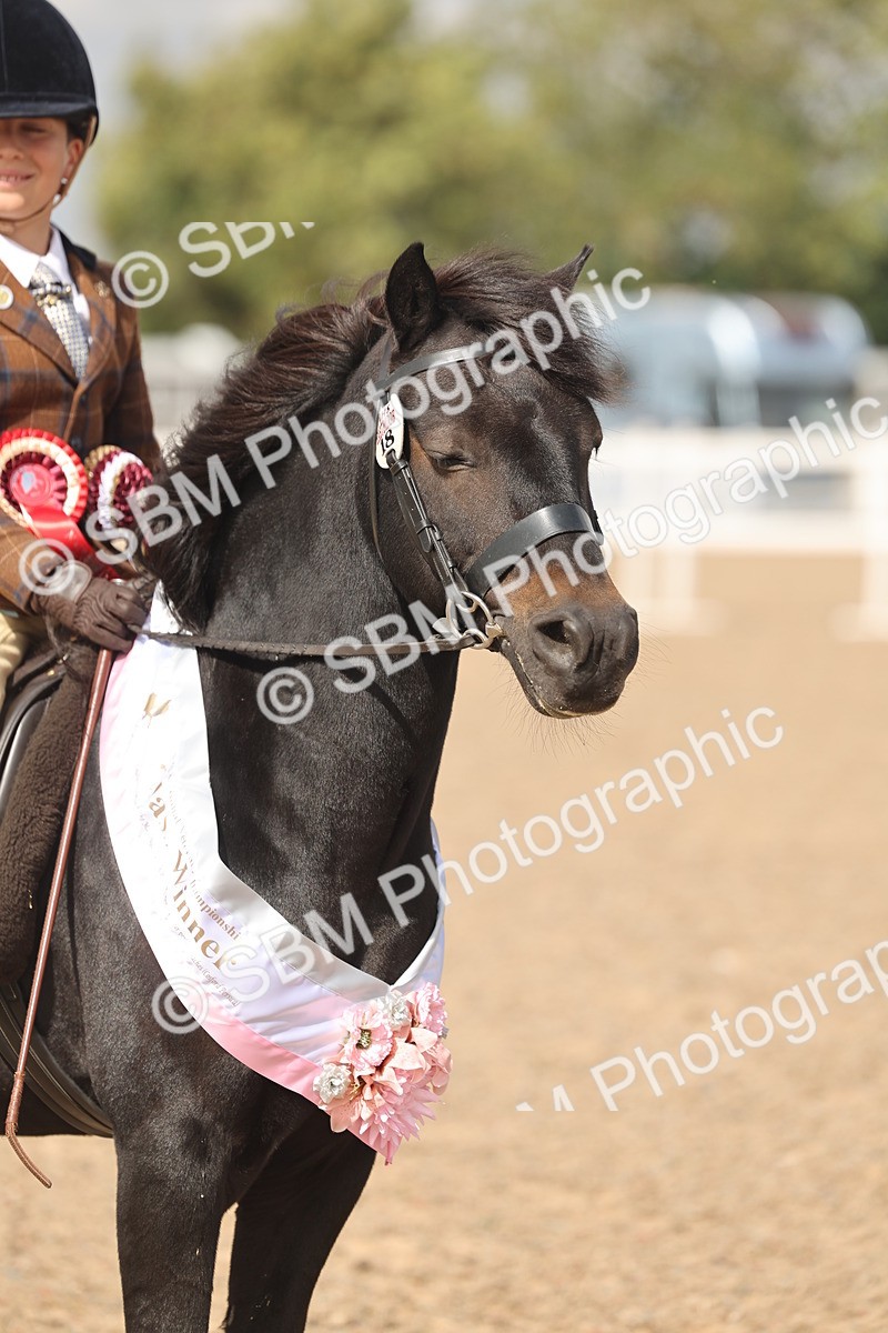 SBM_15922 - Class 310 - First Ridden Pony