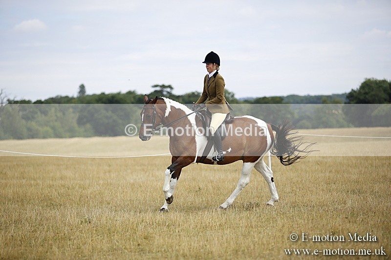 _C7A9512 - BVRC Show 2018 Ring 1