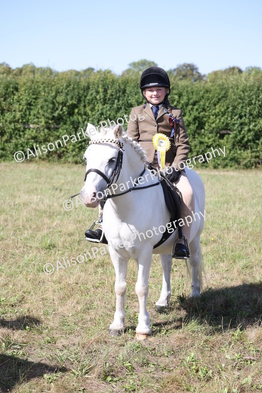 20260906-2315 - Class 16 - Family Pony