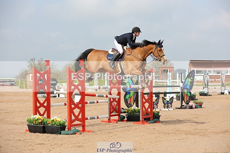 250424-103537-03116 - Cls 33 Young Horse 7yr old