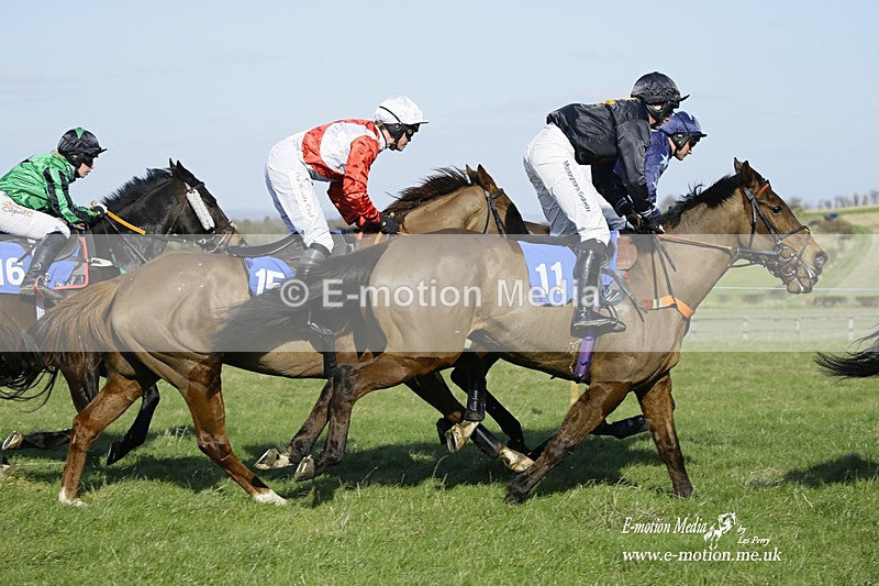 PtP 260222 371 - Kingston Blount Racing Club Point-to-Point 26/02/22