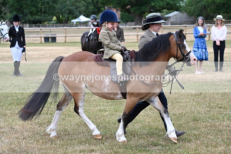WJ7_9805 - Class 1 Lead Rein Pony