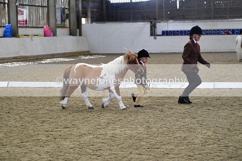 WJ5_4920 - Class 7 In hand coloured / odd coloured