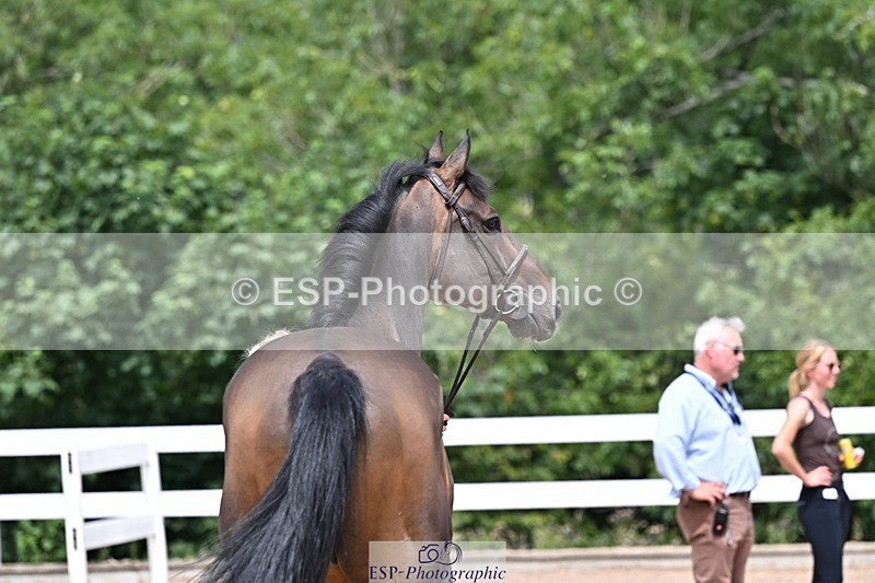 250716-125647-00242 - Trot Up 12.30 to 1.30
