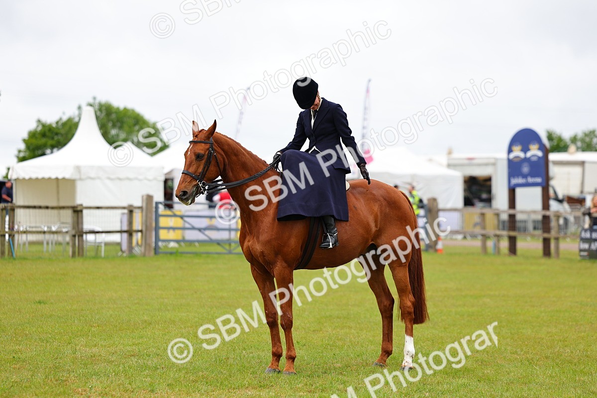 SBM_02755 - Class 9-11 Side Saddle including LIHS Rising Star Ladies Show Horse