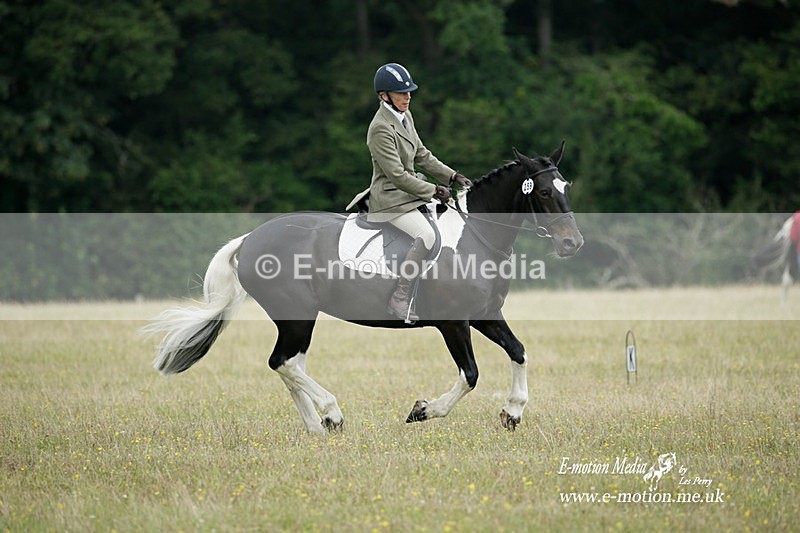 BVRC 030721 380 - Bourne Valley Riding Club Dressage 03/07/21
