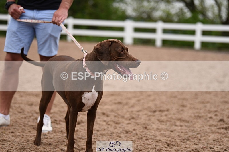 240518A-122356-01151 - Cls 4 Best Crossbred