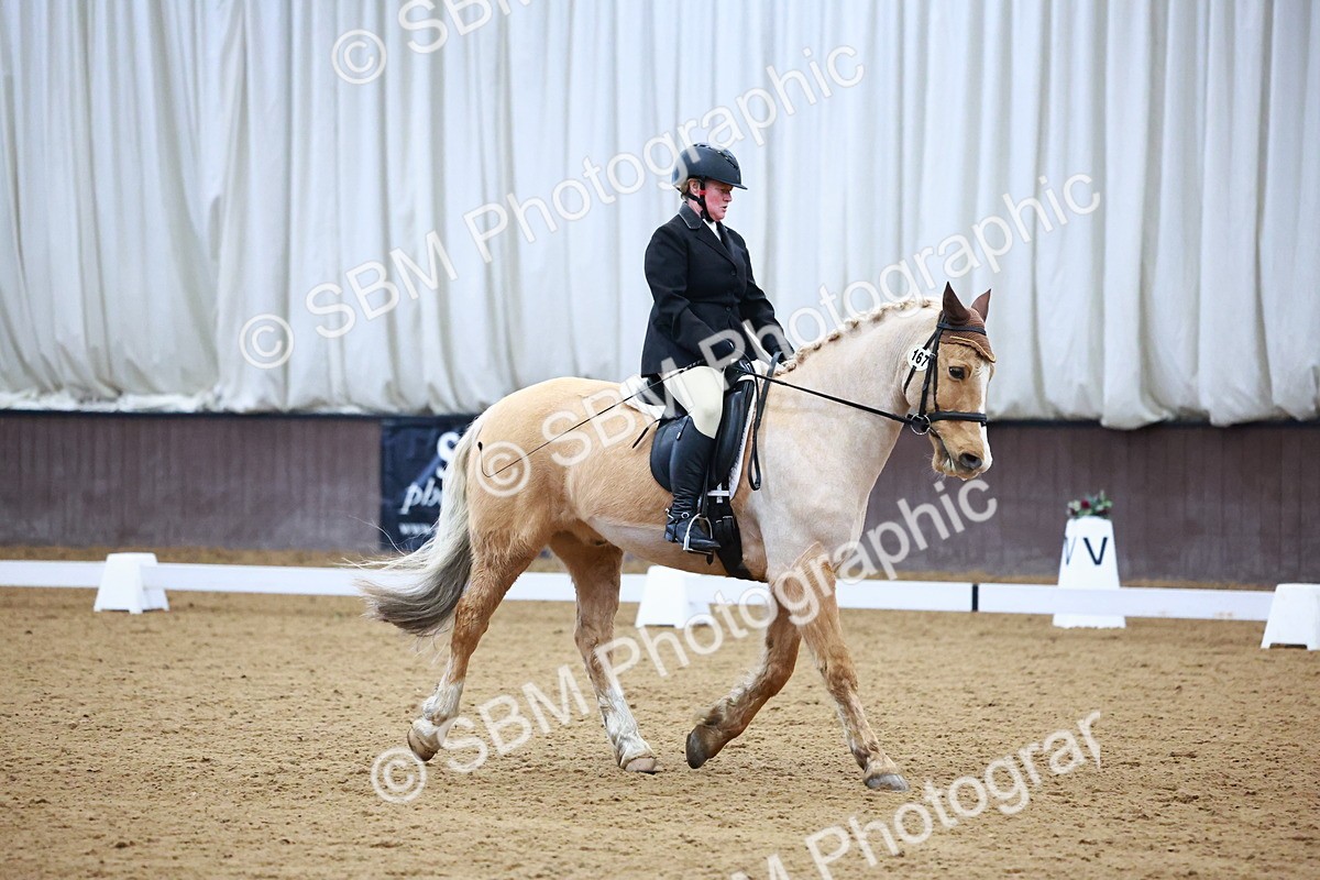 SBM_002763 - Novice Music