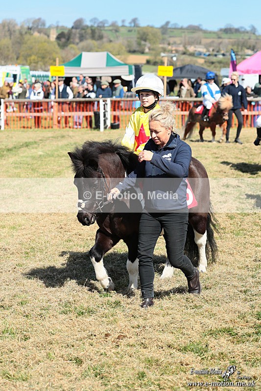 Shet 060426 116 - Shetland Pony Racing Paxford Races Easter Mon 06/04/26