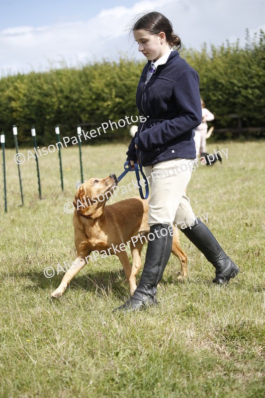 20250831-3773 - Dog Show