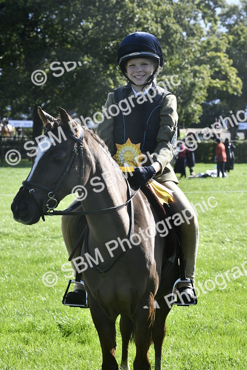 SBM_37238 - S31 - Novice & Newcomer Working Hunter Pony