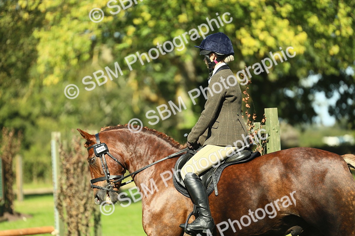 SBM_39148 - S29 - Novice & Newcomers Working Hunter Pony