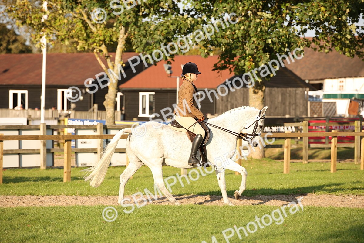 SBM_54434 - S27 - Mature Veteran - Ridden