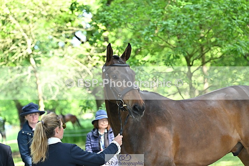 250521A-160015-00857 - C-279-Kitty.King-DASSETT.FLIGHT.PATH