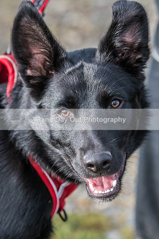 Blencathra-18 - Blencathra Fell Race Wednesday 5th June 2024