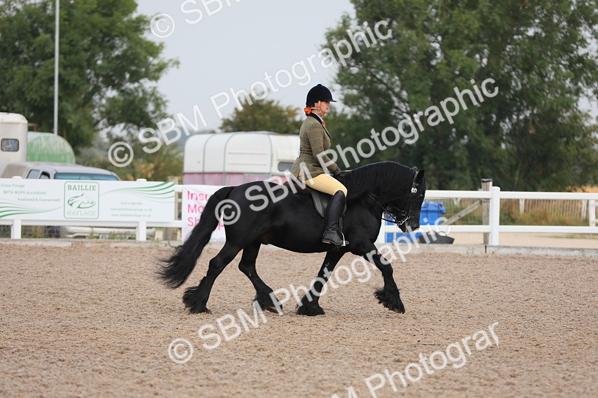 SBM_09989 - Class 302 Ridden M&M -Large Breeds