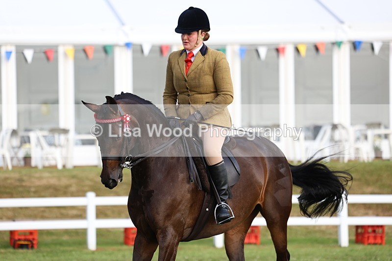 3E7A7834 - Class 1: Rising Star Small Hack/Riding Horses