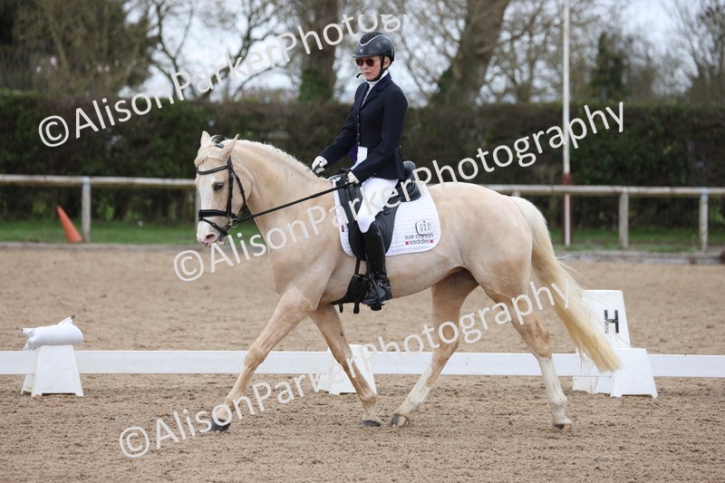 20260301-0469 - Class 3 - Novice 4