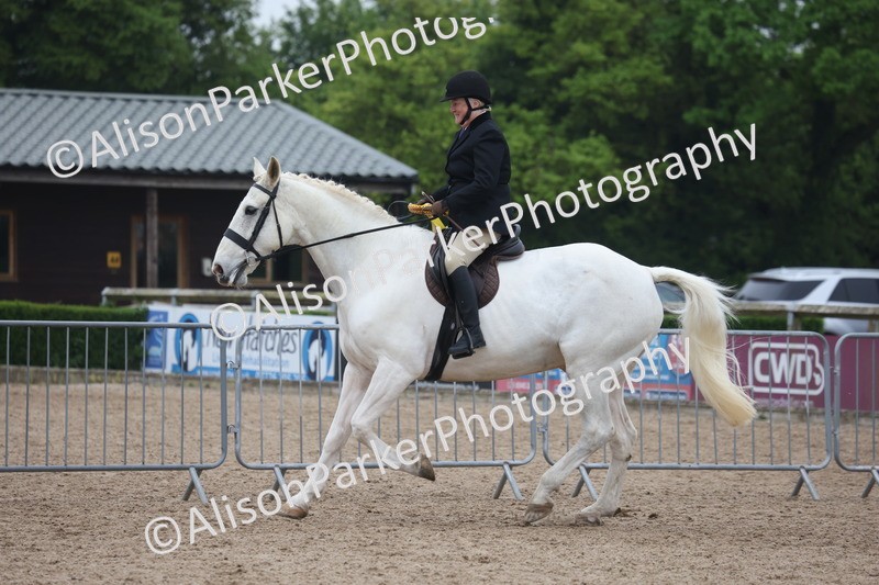 20260504-1189 - Class 14 - Cob and Hunter