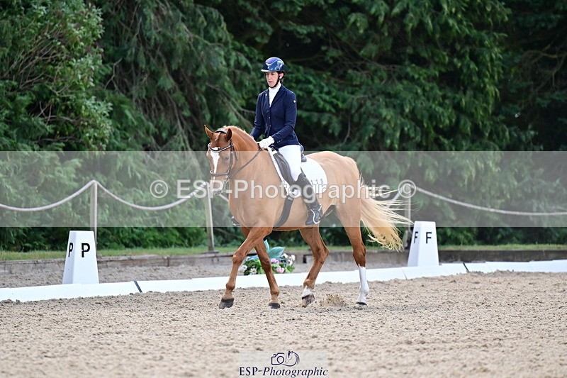 260731A-105757-00164 - Elementary Bronze 10.30 - Break