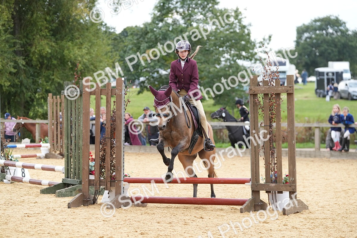 SBM_74832 - J4 - Mini Tour Junior Pony 45cm Championship