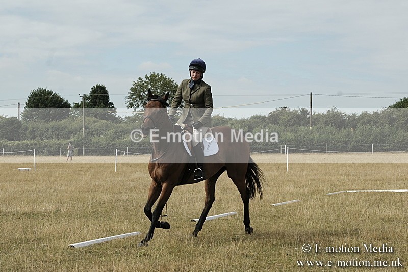 _PJP5641 - Dressage Classes BVRC Show 2018