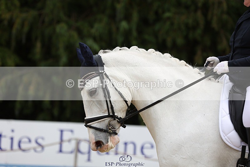 230813-135651-07467 - Cls 11 Elem Bronze 13.15 to 14.10 break