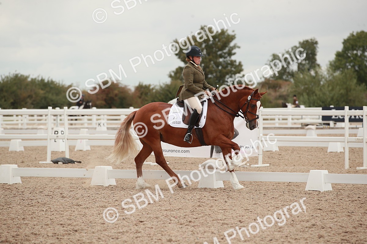 SBM_06102 - Class 33 - Elementary 1