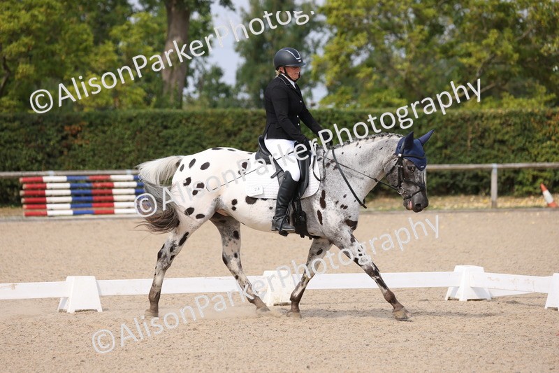 20250819-1594 - Class 5 - Novice 3