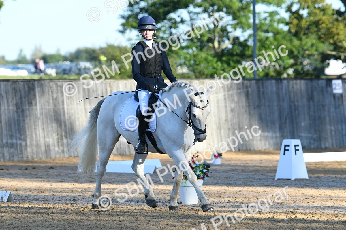 SBM_14256 - D4 - Small Tour Championship - Intro B