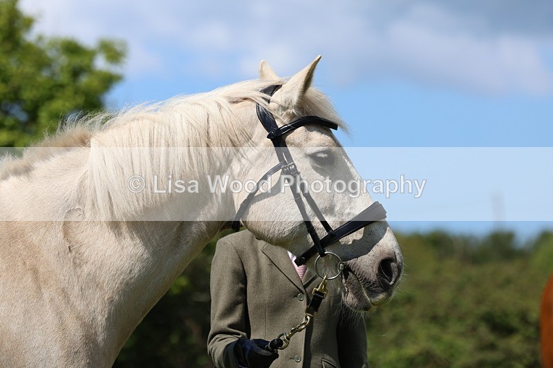 3E7A0349 - Class 19: Best Coloured in Hand