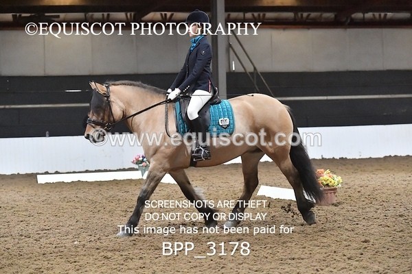 BPP_3178 - INTRO TEST 3