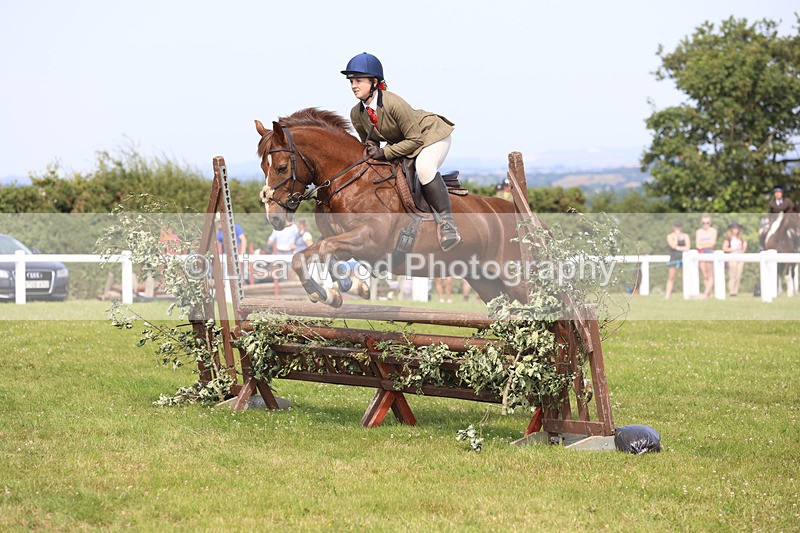 JPP_3689 - Class 23: Working Hunter 80cm