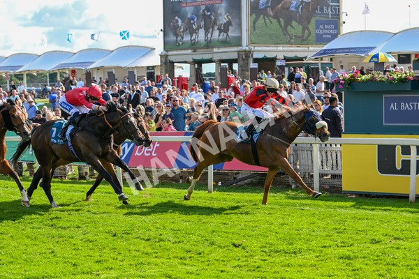 140625-Race 7-Kats Bob-3875 - Race 7 5.20pm Bosun's Restaurant Handicap
