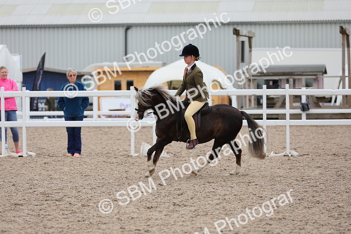 SBM_18118 - Class 316 Best Pony/Rider Combination