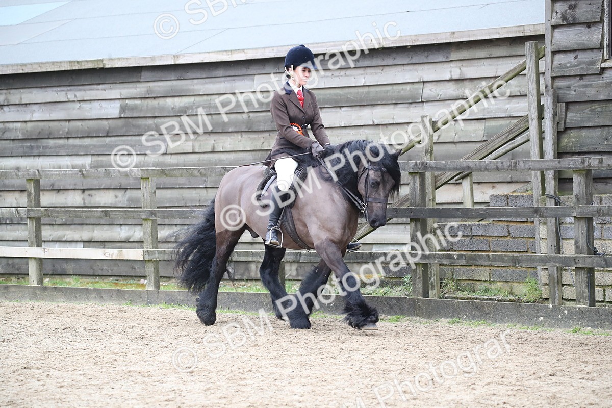 SBM_006475 - Class 10-13 - RIHS Small Large Breeds