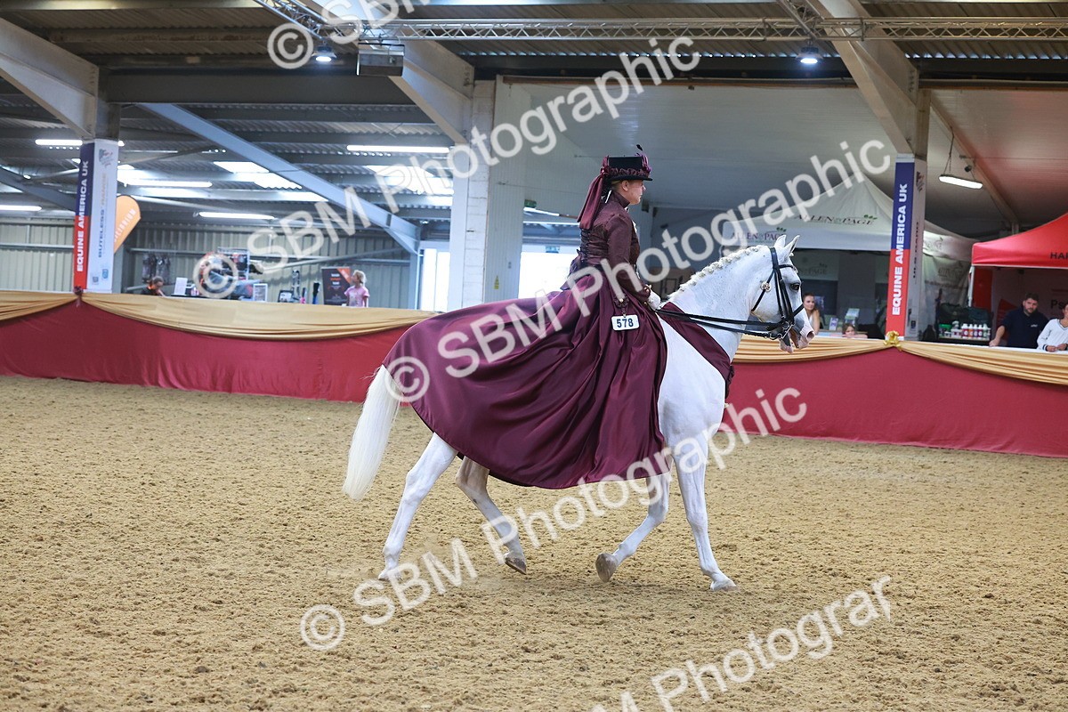 SBM_14807 - Class 108 - Ridden Costume - Astride Adult (20+)