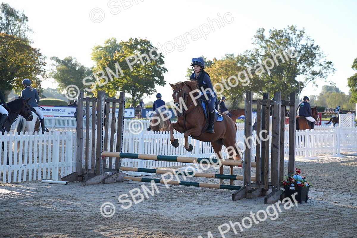 SBM_13953 - J59 - Clear Round - 65cm