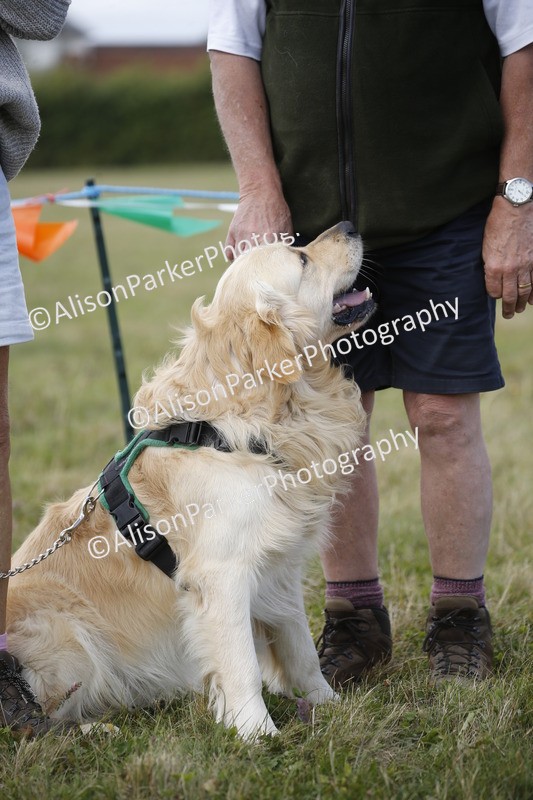 20250831-3628 - Dog Show